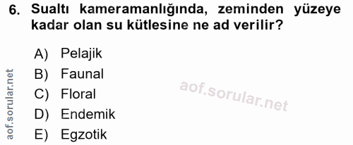 6. soru: Sualtı kameramanlığında, zeminden yüzeye kadar olan su kütlesine ne ad verilir? A) Pelajik B) Faunal C) Floral D) End…
