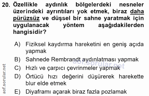 20. soru: Özellikle aydınlık bölgelerdeki nesneler üzerindeki ayrıntıları yok etmek, biraz daha pürüzsüz ve düşsel bir sahne ya…