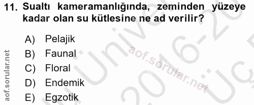 11. soru: Sualtı kameramanlığında, zeminden yüzeye kadar olan su kütlesine ne ad verilir? A) Pelajik Faunal aof.s C) Floral D)…
