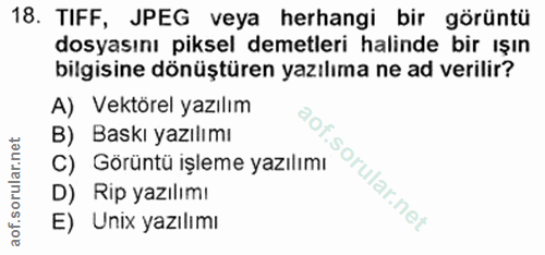 18. soru: TIFF, JPEG veya herhangi bir görüntü dosyasını piksel demetleri halinde bir ışın bilgisine dönüştüren yazılıma ne ad…