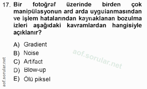 17. soru: Bir fotoğraf üzerinde birden çok manipülasyonun ard arda uygulanmasından ve işlem hatalarından kaynaklanan bozulma iz…