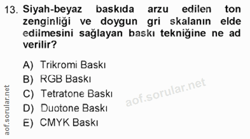 13. soru: Siyah-beyaz baskida arzu edilen ton zenginliği ve doygun gri kalanın elde edilmesini sağlayan baskı tekniğine ne ad v…