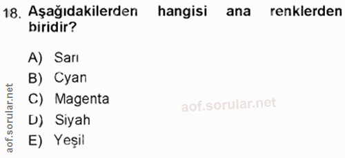 18. soru: Aşağıdakilerden hangisi ana renklerden biridir? A) Sarı B) Cyan C) Magenta D) Siyah E) Yeşil