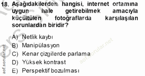 18. soru: Aşağıdakilerden hangisi, internet ortamına uygun hale getirebilmek amacıyla küçültülen" fotoğraflarda karşılaşılan so…