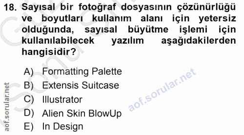 18. soru: Sayısal bir fotoğraf dosyasının çözünürlüğü ve boyutları kullanım alanı için yetersiz olduğunda, sayısal büyütme işle…