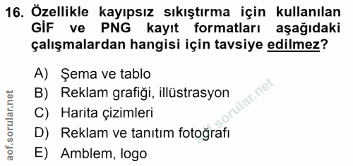 16. soru: Özellikle kayıpsız sıkıştırma için kullanılan GIF ve PNG kayıt formatları aşağıdaki çalışmalardan hangisi için tavsiy…