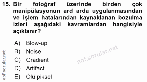 15. soru: Bir fotoğraf üzerinde birden çok manipülasyonun ard arda uygulanmasından ve işlem hatalarından kaynaklanan bozulma iz…