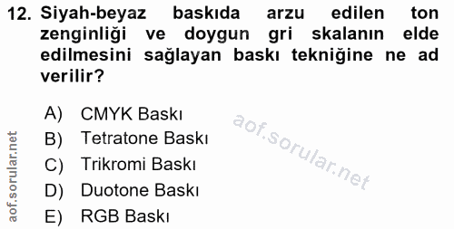 12. soru: Siyah-beyaz baskıda arzu edilen ton zenginliği ve doygun gri kalanın elde edilmesini sağlayan baskı tekniğine ne ad v…