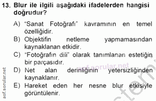 13. soru: Blur ile ilgili aşağıdaki ifadelerden hangisi doğrudur? A) "Sanat Fotoğrafi" kavramının en temel özelliğidir. B) Obje…