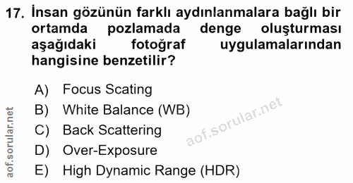 17. soru: İnsan gözünün farklı aydınlanmalara bağlı bir ortamda pozlamada denge oluşturması aşağıdaki fotoğraf uygulamalarından…