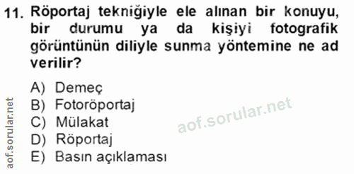 11. soru: Röportaj tekniğiyle ele alınan bir konuyu, bir durumu ya da kişiyi fotografik görüntünün diliyle sunma yöntemine ne a…