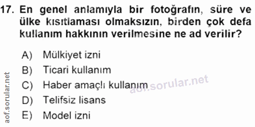 17. soru: En genel anlamıyla bir fotoğrafın, süre ve ülke kısıtlaması olmaksızın, birden çok defa kullanım hakkının verilmesine…