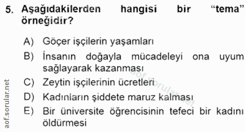 5. soru: Aşağıdakilerden hangisi bir "tema" örneğidir? A) Göçer işçilerin yaşamları B) İnsanın doğayla mücadeleyi ona uyum sağ…