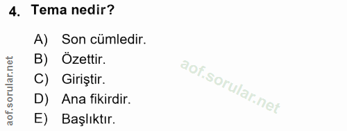 4. soru: Tema nedir? A) Son cümledir. B) Ozettir. Giriştir. D) Ana fikirdir. E) Başlıktır.