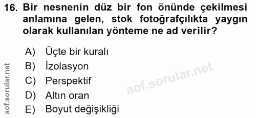 16. soru: Bir nesnenin düz bir fon önünde çekilmesi anlamına gelen, stok fotoğrafçılıkta yaygın olarak kullanılan yönteme ne ad…