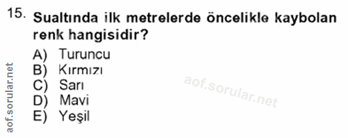 15. soru: Sualtında ilk metrelerde öncelikle kaybolan renk hangisidir? A) Turuncu B) Kırmızı C) Sarı D) Mavi E) Yeşil