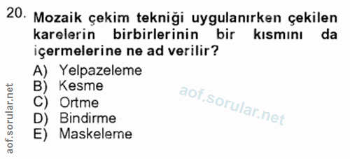 20. soru: Mozaik çekim tekniği uygulanırken çekilen karelerin birbirlerinin bir kısmını da içermelerine ne ad verilir? A) Yelpa…
