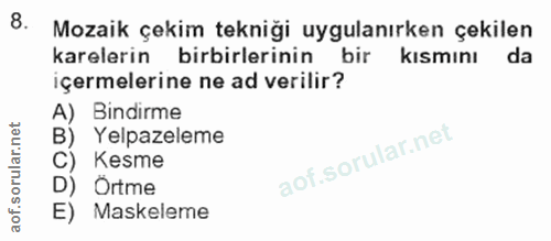 8. soru: Mozaik çekim tekniği uygulanırken çekilen karelerin birbirlerinin bir kısmını da içermelerine ne ad verilir? A) Bindi…