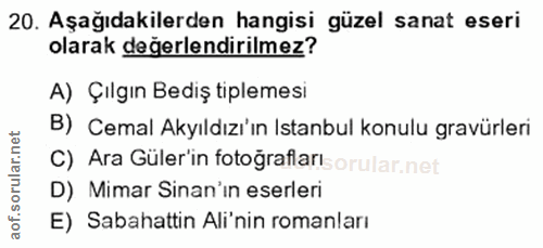 20. soru: Aşağıdakilerden hangisi güzel sanat eseri olarak değerlendirilmez? A) Çilgın Bediş tiplemesi B) Cemal Akyıldızı'ın Is…