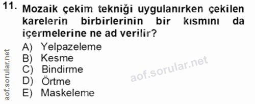 11. soru: Mozaik çekim tekniği uygulanırken çekilen karelerin birbirlerinin bir kısmını da içermelerine ne ad verilir? A) Yelpa…