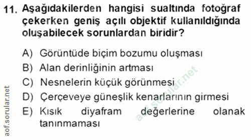 11. soru: Aşağıdakilerden hangisi sualtında fotograf çekerken geniş açılı objektif kullanıldığında oluşabilecek sorunlardan bir…