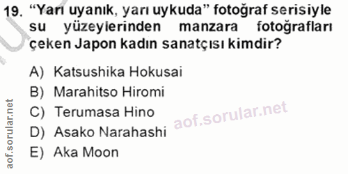 19. soru: "Yari uyanık, yarı uykuda" fotoğraf serisiyle su yüzeylerinden manzara fotoğrafları çeken Japon kadın sanatçısı kimdi…