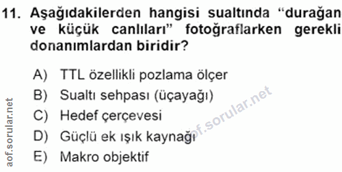 11. soru: Aşağıdakilerden hangisi sualtında "durağan ve küçük canlıları" fotoğraflarken gerekli donanımlardan biridir? A) TTL ö…