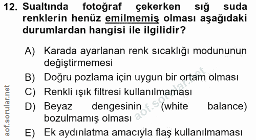 12. soru: Sualtında fotoğraf çekerken sığ suda renklerin henüz emilmemiş olması aşağıdaki durumlardan hangisi ile ilgilidir? A)…