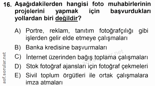 16. soru: Aşağıdakilerden hangisi foto muhabirlerinin projelerini yapmak için başvurdukları yollardan biri değildir? A) Portre,…