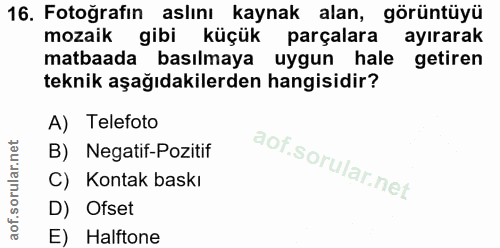 16. soru: Fotoğrafın aslını kaynak alan, görüntüyü mozaik gibi küçük parçalara ayırarak matbaada basılmaya uygun hale getiren t…