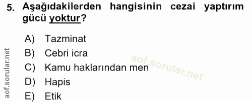 5. soru: Aşağıdakilerden hangisinin cezai yaptırım üü yoktur? A) Tazminat C) Kamu haklarından men B) Cebri icra D) Hapis E) Etik