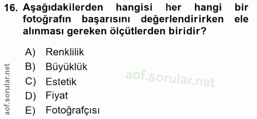 16. soru: Aşağıdakilerden hangisi her hangi bir fotoğrafın başarısını değerlendirirken ele alınması gereken ölçütlerden biridir…
