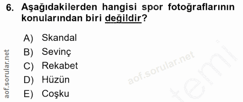 6. soru: Aşağıdakilerden hangisi spor fotoğraflarının konularından biri değildir? A) Skandal B) Sevinç C) Rekabet D) Hüzün E)…