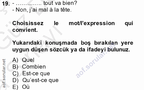 19. soru: tout va bien? - Non, j'ai mal à la tête. Choisissez le mot/l'expression qui convient. Yukarıdaki konuşmada boş bırakı…