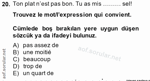 20. soru: Ton plat n'est pas bon. Tu as mis ...... ....sel! Trouvez le mot/l'expression qui convient. Cümlede boş bırakılan yer…