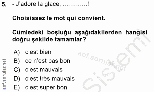 5. soru: - J'adore la glace, Choisissez le mot qui convient. Cümledeki boşluğu aşağıdakilerden hangisi doğru şekilde tamamlar?…