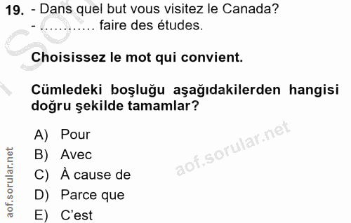 19. soru: - Dans quel but vous visitez le Canada? .. faire des études. Choisissez le mot qui convient. Cümledeki boşluğu aşağıd…