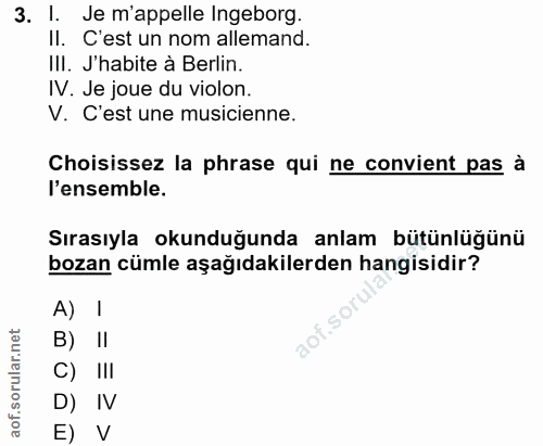 3. soru: I. Je m'appelle Ingeborg. Il. C'est un nom allemand. III. J'habite à Berlin. IV. Je joue du violon. V. C'est une musi…
