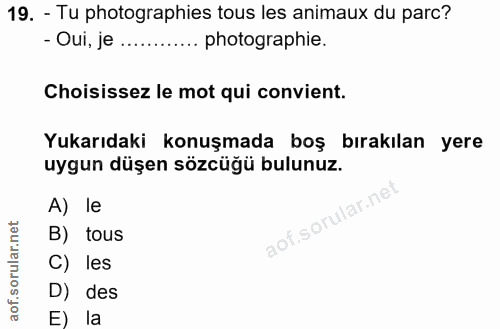 19. soru: - Tu photographies tous les animaux du parc? - Oui, je .......... photographie. Choisissez le mot qui convient. Yukar…