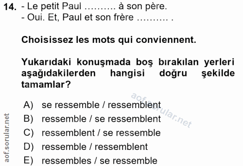 14. soru: - Le petit Paul .... à son père. - Oui. Et, Paul et son frère ........... Choisissez les mots qui conviennent. Yukarı…