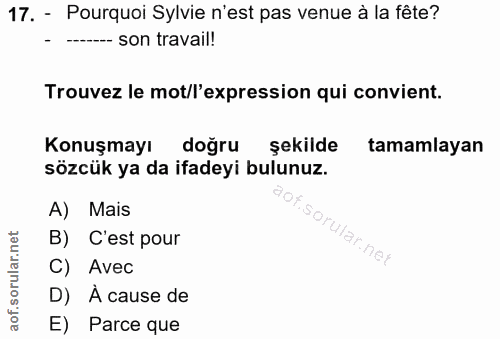 17. soru: - Pourquoi Sylvie n'est pas venue à la fête? - --- son travail! Trouvez le mot/l'expression qui convient. Konuşmayı d…