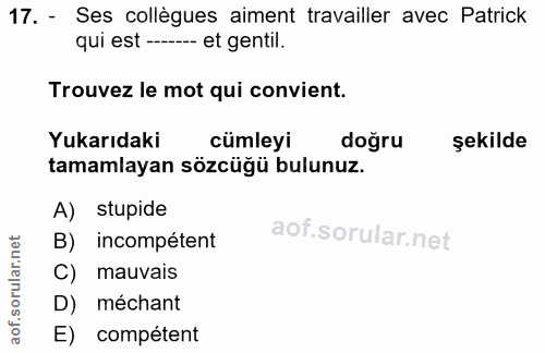 17. soru: - Ses collègues aiment travailler avec Patrick qui est -_ et gentil. Trouvez le mot qui convient. Yukarıdaki cümleyi…