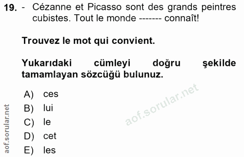 19. soru: - Cézanne et Picasso sont des grands peintres cubistes. Tout le monde ---- connaît! Trouvez le mot qui convient. Yuka…