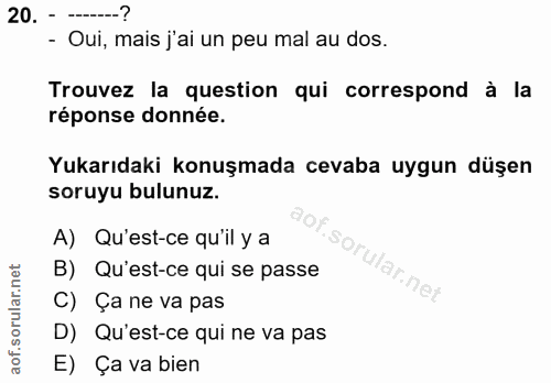 20. soru: - ---? - Oui, mais j'ai un peu mal au dos. Trouvez la question qui correspond à la réponse donnée. Yukarıdaki konuşma…