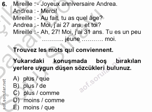 6. soru: Mireille : - Joyeux anniversaire Andrea. Andrea : - Merci! Mireille : - Au fait, tu as quel âge? Andrea : - Moi, j'ai…