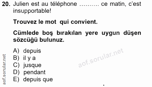 20. soru: Julien est au téléphone ce matin, c'est insupportable! Trouvez le mot qui convient. Cümlede boş bırakılan yere uygun…