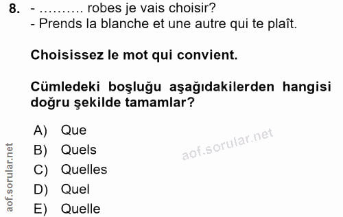 8. soru: .. robes je vais choisir? - Prends la blanche et une autre qui te plaît. Choisissez le mot qui convient. Cümledeki bo…