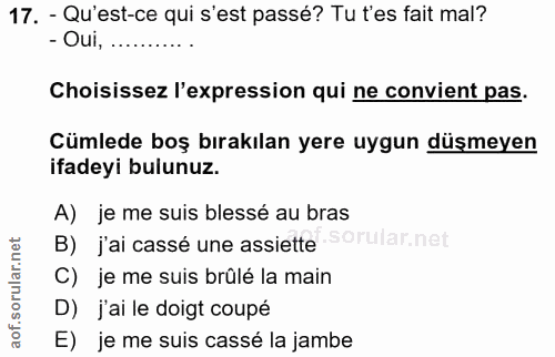 17. soru: - Qu'est-ce qui s'est passé? Tu t'es fait mal? - Oui, ........... Choisissez l'expression qui ne convient pas. Cümled…