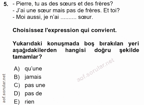 5. soru: - Pierre, tu as des sœurs et des frères? - J'ai une sœur mais pas de frères. Et toi? - Moi aussi, je n'ai ..........…