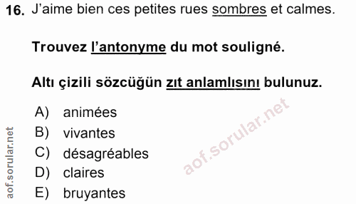 16. soru: J'aime bien ces petites rues sombres et calmes. Trouvez l'antonyme du mot souligné. Altı çizili sözcüğün zıt anlamlıs…